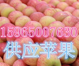 莒縣傲翔農副產品購銷處 探索海量高清圖片庫，展現農副產品的天然魅力