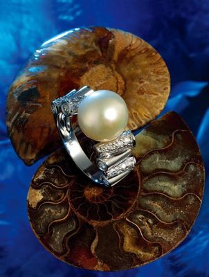 珠寶產(chǎn)品攝影與化妝品攝影的融合藝術(shù)